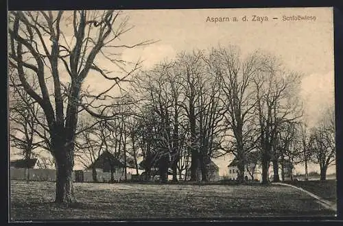 AK Asparn, Auf der Schlosswiese