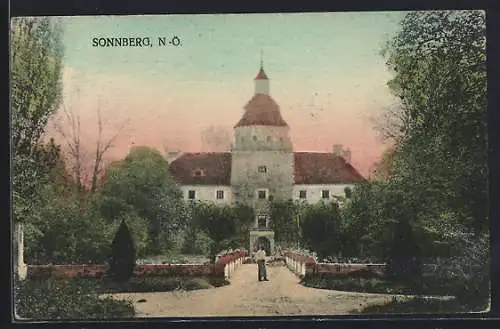 AK Sonnberg /N.-Ö., Partie am Schloss