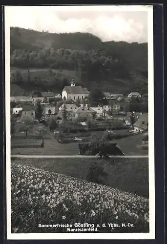 AK Göstling a. d. Ybbs, Ortsansicht vom Narzissenfeld aus