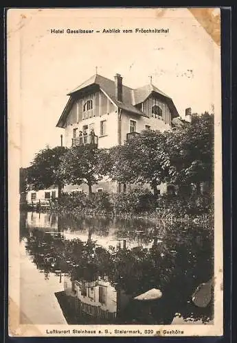 AK Steinhaus a. S., Hotel Gesslbauer, Anblick vom Fröschnitzthal