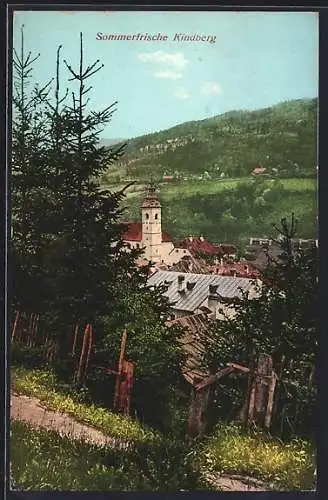 AK Kindberg, Ortsansicht vom Bergweg aus