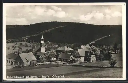 AK Schellerhau i. Erzgeb., Ortsansicht mit Gebirgshof und Kirche