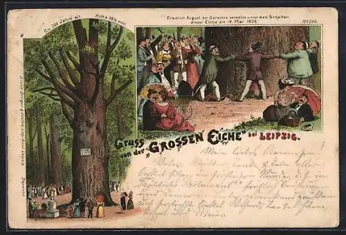 Lithographie Leipzig, Blick auf eine 700jährige Eiche, Gruss von der Grossen Eiche