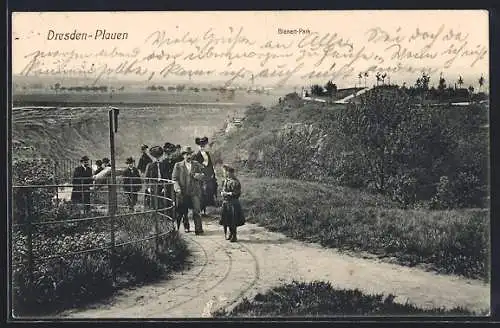 AK Dresden-Plauen, Panorama mit Bienert-Park