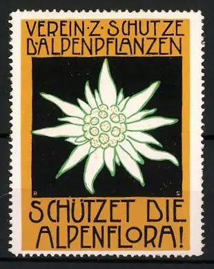 Reklamemarke Verein z. Schutze d. Alpenpflanzen, Edelweiss