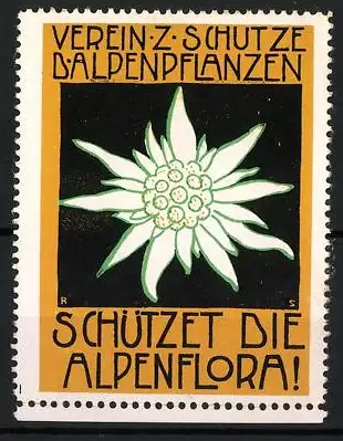 Reklamemarke Verein z. Schutze d`Alpenpflanzen, Edelweissmotiv