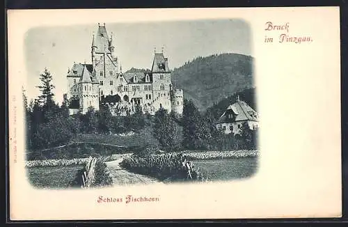 AK Bruck im Pinzgau, Das Schloss Fischhorn