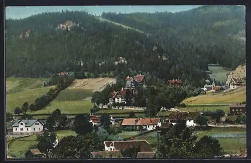 AK Spital am Semmering, Ortsansicht mit Zatzka-Villen