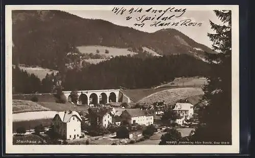 AK Steinhaus am Semmering, Teilansicht mit Viadukt