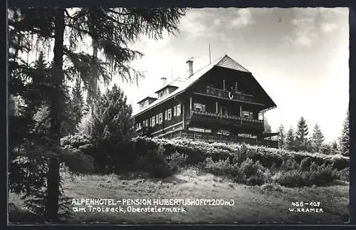 AK Veitsch, Alpenhotel Hubertushof am Troiseck