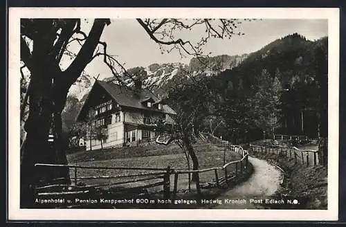 AK Edlach, Alpenhotel Knappenhof, Inhaber Hedwig Kronich