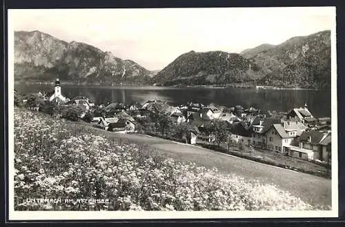 AK Unterach am Attersee, Ortsansicht von blühender Hügelwiese aus