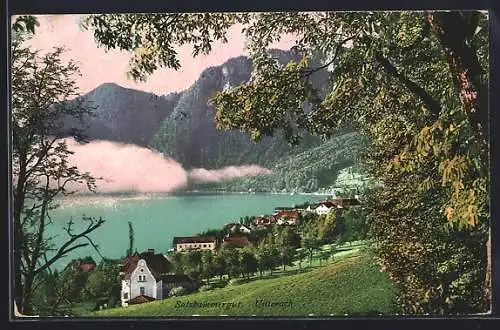 AK Unterach /Salzkammergut, Ortsansicht am See