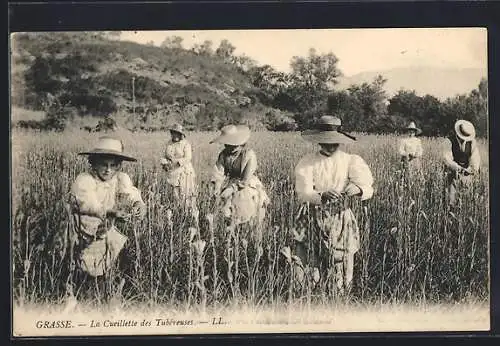 AK Sur la Côte d`Azur, La Cueillette des Tubéreuses, Frauen pflücken Blumen