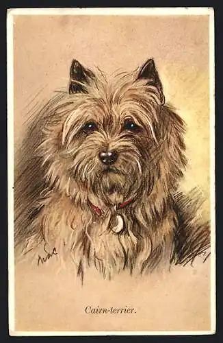 AK Portrait eines Cairn Terriers mit Halsband