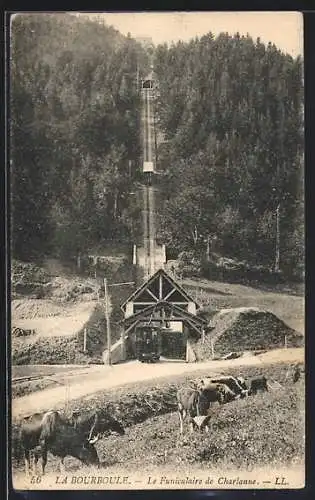 AK La Bourboule, Le Funiculaire de Charlanne mit Kühen