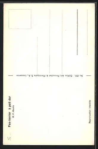Künstler-AK R. F. Gaulis: Fox-Terrier