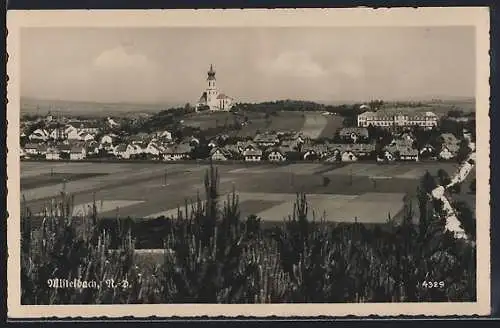 AK Mistelbach, Ortsansicht vom Wald aus