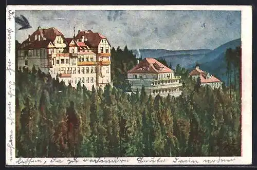 AK Grimmenstein, Blick auf das Sanatorium Hochegg