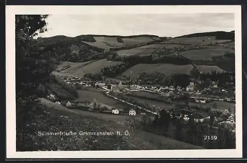 AK Grimmenstein, Ortsansicht vom Hang aus