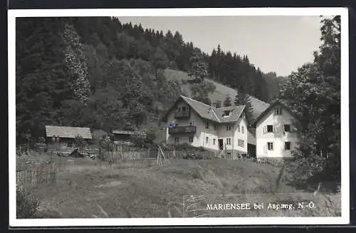 AK Mariensee bei Aspang, Wohnhäuser von einer Wiese aus