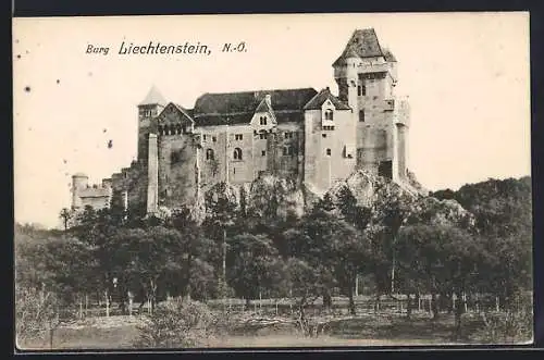 AK Liechtenstein, Ansicht der Burg