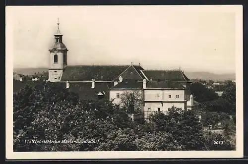 AK Maria-Enzersdorf, Wallfahrtskirche mit blühender Kastanie