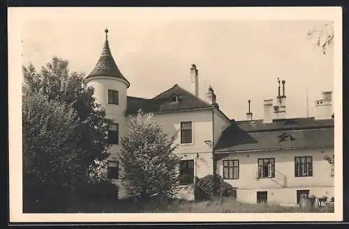 AK Maria-Enzersdorf, Erholungsheim Wällischhof, Garten der Anstalt