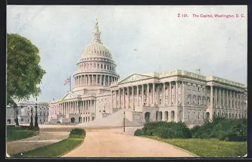 AK Washington D.C., The Capitol