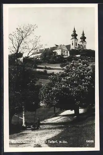 AK Maria Taferl /N.-Oe., Blick zur Wallfahrtskirche