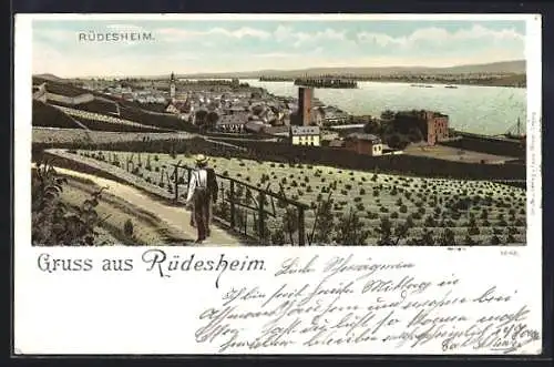 Lithographie Rüdesheim / Rhein, Panorama mit Uferpartie