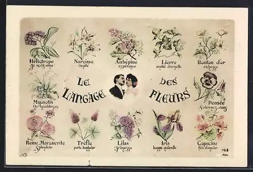 AK Le Langage des Fleurs: Héliotrope, Narcisse, Aubépine, Lierre, Bouton d`Or, Pensée, Capucine