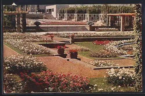 AK Essen, Gruga-Grosse Ruhrländische Gartenbau-Ausstellung 1929, Pergolagarten mit Rosenanlage und Rosencafè