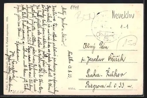 AK Neveklov, Strassenansichten, Gebäudeansichten