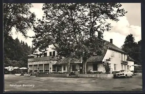 AK Blomberg / Lippe, Gasthof Forsthaus von Paul Düllmann, Aussenansicht