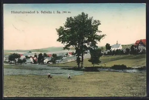 AK Hinterhermsdorf bei Sebnitz, Ortspanorama mit Wiesen