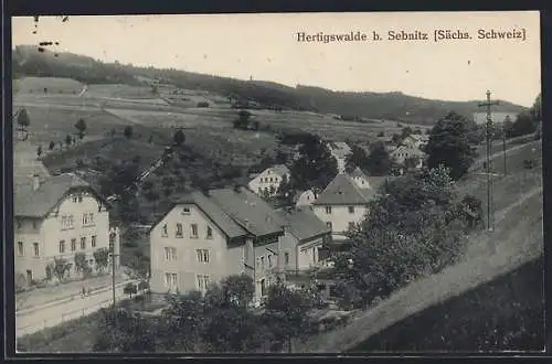 AK Hertigswalde bei Sebnitz, Ortsansicht aus der Vogelschau