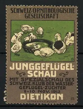 Reklamemarke Dietikon, Junggeflügelschau 1913, Entenküken am Teich