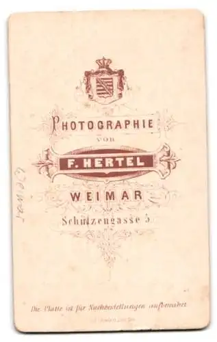 Fotografie Friedr. Hertel, Weimar, Ansicht Weimar, das Gothe und Schiller Denkmal