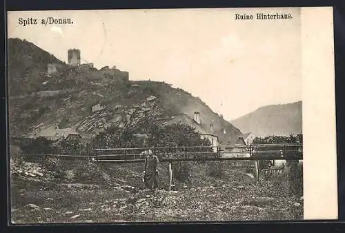 AK Spitz a. Donau, Blick auf die Ruine Hinterhaus