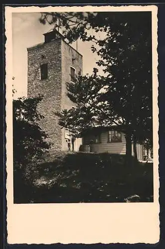 AK Baden bei Wien, Eisernes Tor, Schutzhaus am Hohen Lindkogel