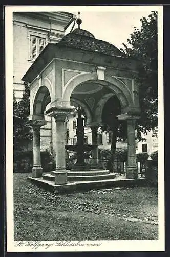 AK St. Wolfgang, Blick auf den Schlossbrunnen