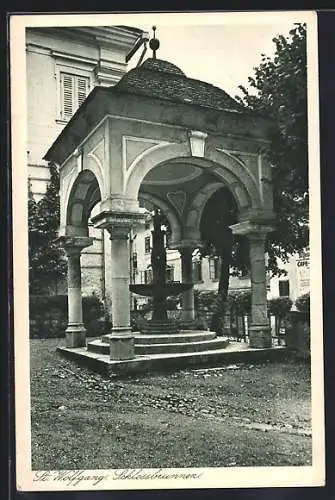 AK St. Wolfgang, Blick auf den Schlossbrunnen