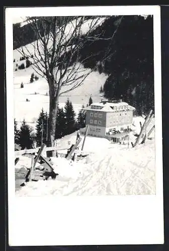 AK Dr.-Karl-Renner-Haus, Saalbach, Hinterglemm