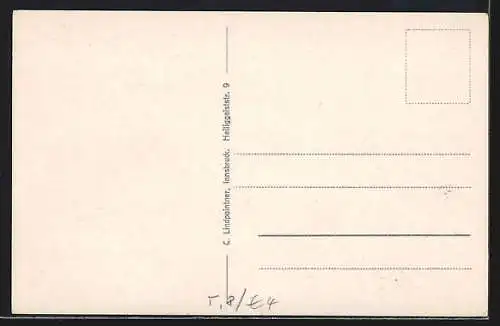 AK Buchau a. Achensee, Ortspartie mit Bergen