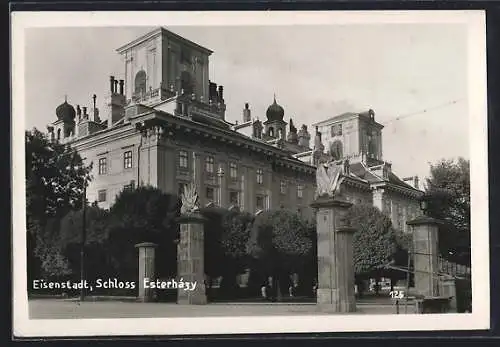 AK Eisenstadt, Schloss Esterházy