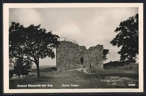 AK Neusiedl am See, Ruine Tabor