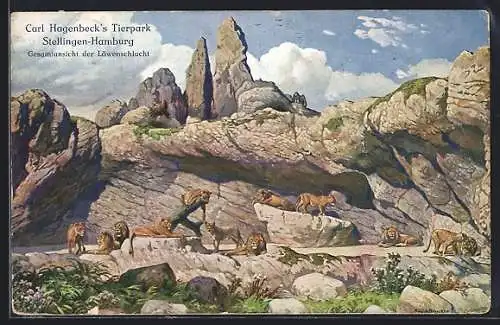 AK Hamburg-Stellingen, Hagenbeck`s Tierpark, Löwenschlucht