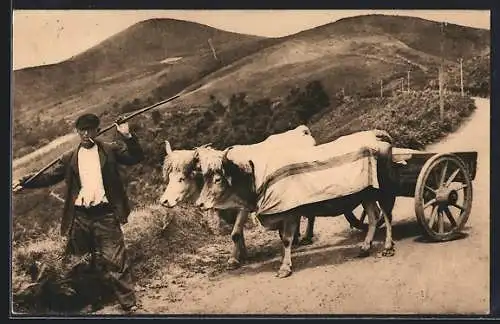 AK Pays Basque, Attalage Basque, Baskischer Bauer mit Ochsen-Gespann