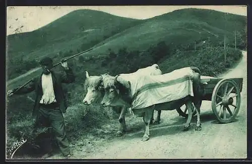 AK Pays Basque, Attalage Basque, Baskischer Bauer mit Ochsen-Gespann